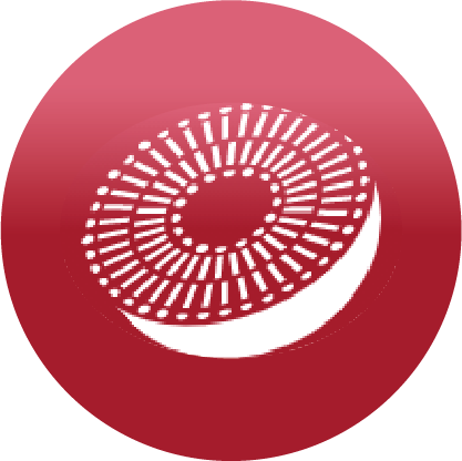 High bioavailability